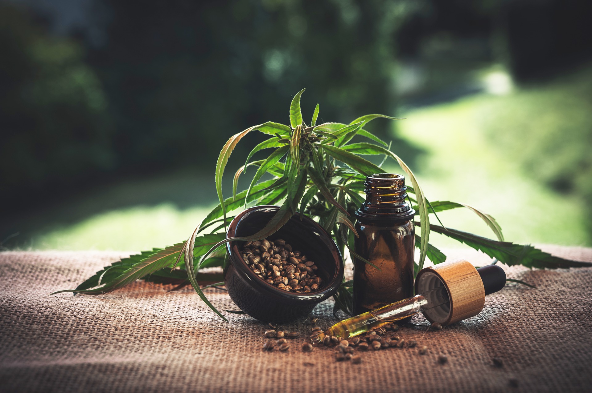 La réglementation sur la production agricole de CBD