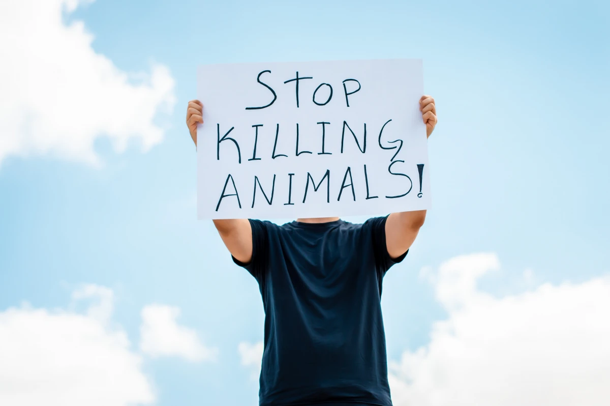 Le Droit des animaux : Un enjeu crucial pour notre société